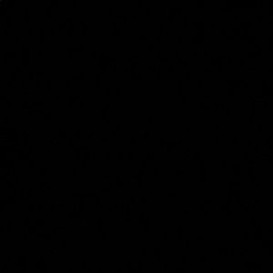 Meet your Posher, Shauna